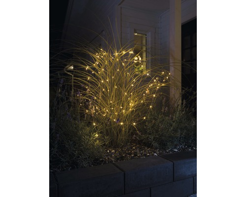 Decoratieve lichtslinger omwikkelt een plant in de tuin.