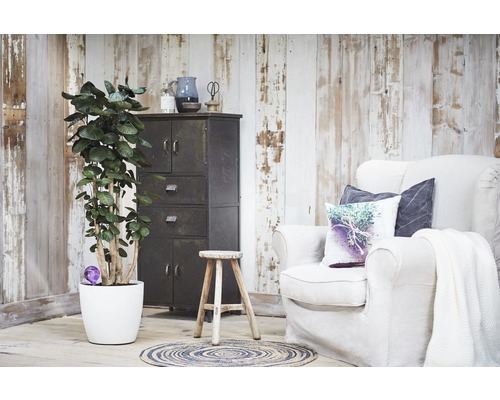 Lichte interieurscène met kamerplant, kast, fauteuil en rond vloerkleed