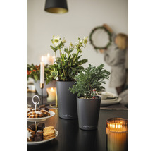 Decoratieve tafel met planten in plantenbakken, gebak, kaarsen en een persoon die een krans ophangt.