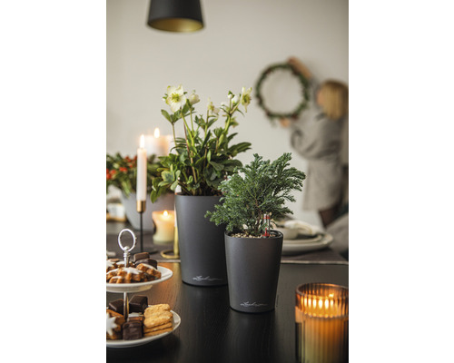 Decoratieve tafel met planten in plantenbakken, gebak, kaarsen en een persoon die een krans ophangt.