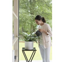 Vrouw geeft kamerplant in witte pot water met een zwarte gieter op een bijzettafel