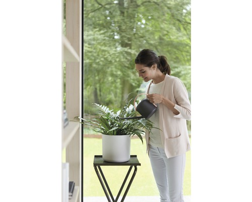 Vrouw geeft kamerplant in witte pot water met een zwarte gieter op een bijzettafel