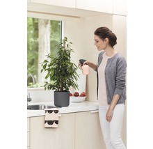 Vrouw besproeit kamerplant in pot met spuitfles in de keuken