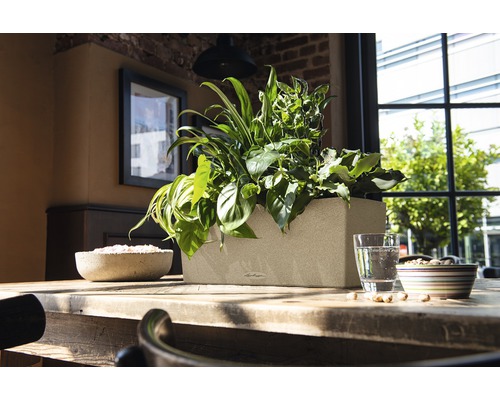 Rechthoekige plantenbak van kunststof met verschillende planten op een houten tafel