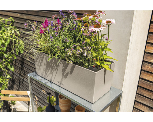 Beige plantenbak met diverse planten op een metalen rek in de tuin.