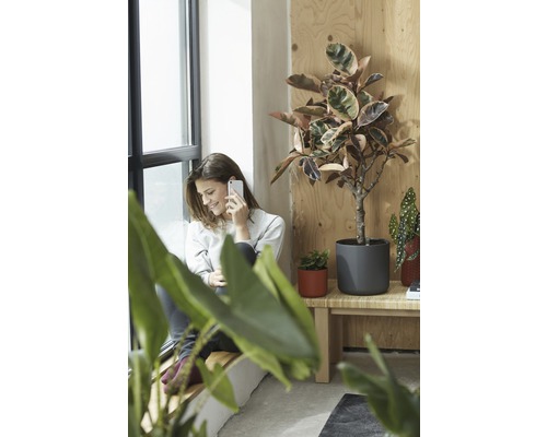 Vrouw telefoneert naast kamerplanten in potten op een houten bankje bij het raam