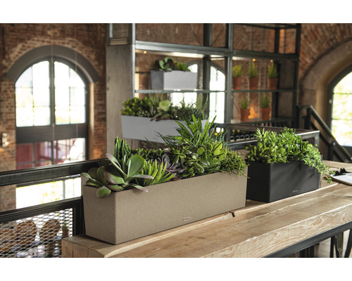 Meerdere plantenbakken met planten in een kamer op een tafel.