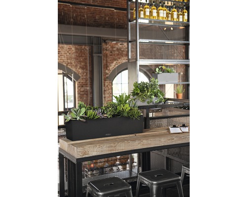 Scene met een plantenbak met verschillende planten op een houten tafel in een ruimte met een industrieel ontwerp