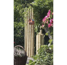 Tuinscene met bamboepalen en vogelhuisje