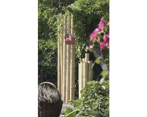 Tuinscene met bamboepalen en vogelhuisje