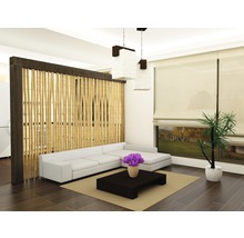 Woonkamer met bamboe roomdivider, bank, tafel, tapijt en kamerplant