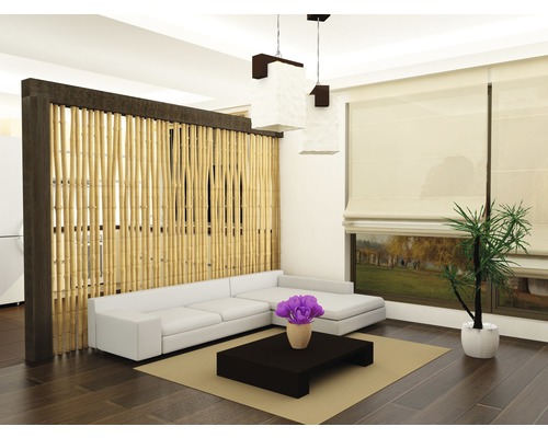 Woonkamer met bamboe roomdivider, bank, tafel, tapijt en kamerplant