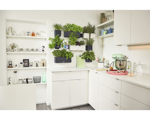 Lichte keuken met kruidentuin aan de muur en keukenmachine op het aanrecht.