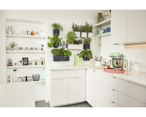 Keukenscène met witte keukenkasten, planken en kruiden in wandpotten