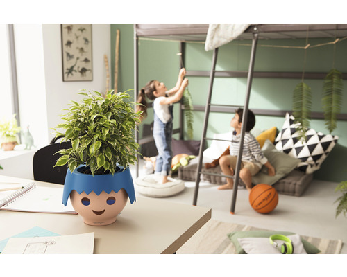 Kamerzicht met kamerplant in decoratieve bloempot op tafel, kind op hoogslaper op de achtergrond