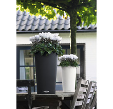 Twee plantenbakken met bloemen op een houten tafel buiten