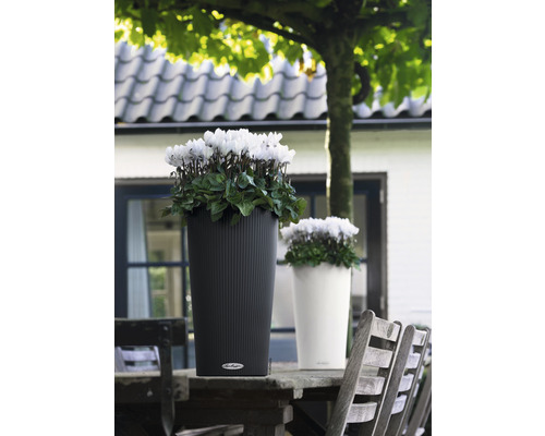 Twee plantenbakken met bloemen op een houten tafel buiten