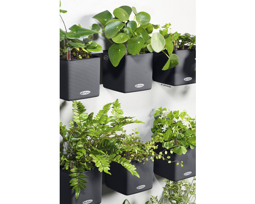 Wandbeplanting met verschillende planten in gestructureerde, grijze plantenbakken