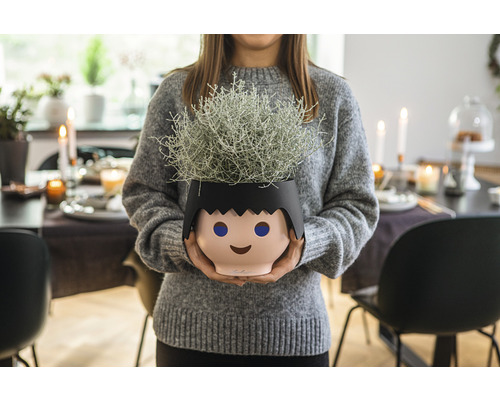 Vrouw houdt plantenbak vast in de vorm van een gestileerd hoofd met plant