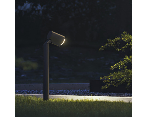 Tuinscène met padverlichting