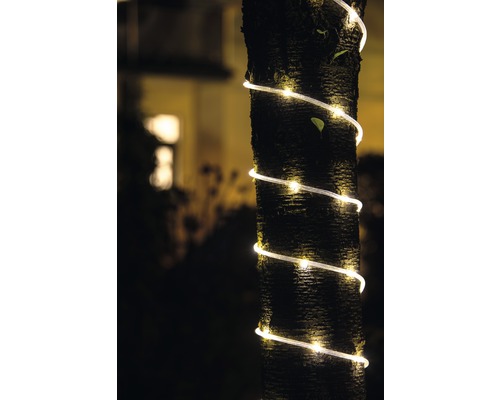 Boomstam met een gedraaide lichtsnoer voor decoratie buitenshuis