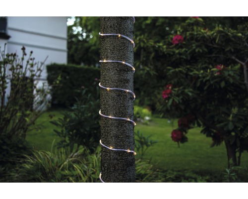 Decoratieve lichtslang om een boom in de tuin gewikkeld.