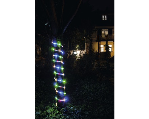 Boomstam met gekleurde lichtketting in tuin bij nacht