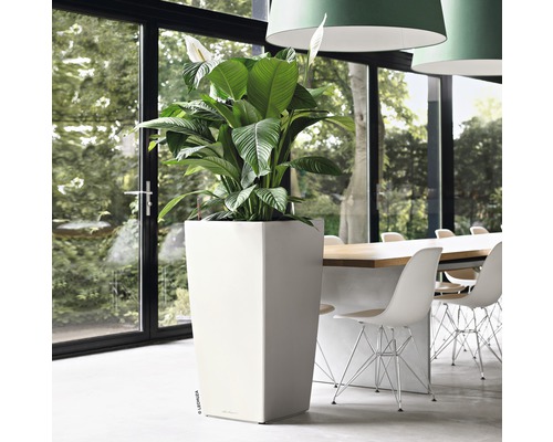 Kamer met een hoge, vierkante plantenbak en een kamerplant