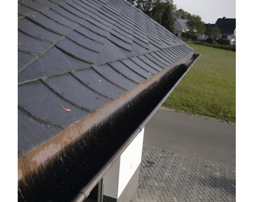 Dak met dakgoot voor waterafvoer