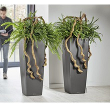 Twee hoge plantenbakken met varens en decoratieve takken in een interieur.