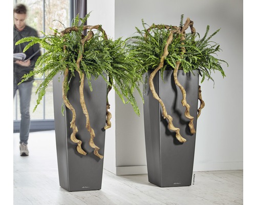 Twee hoge plantenbakken met varens en decoratieve takken in een interieur.