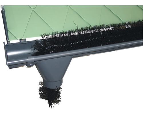 Dakgoot met bladvangerborstel