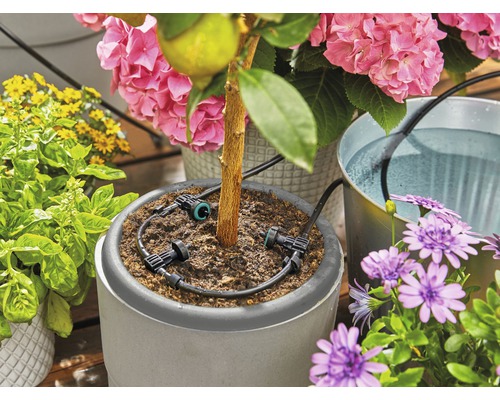 Irrigatiesysteem voor planten in een pot