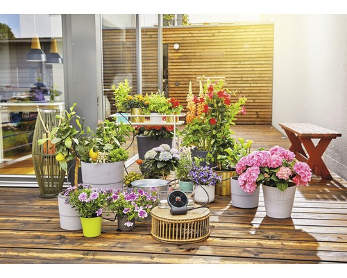 Terras met diverse potplanten, plantenbakken en een houten bankje.