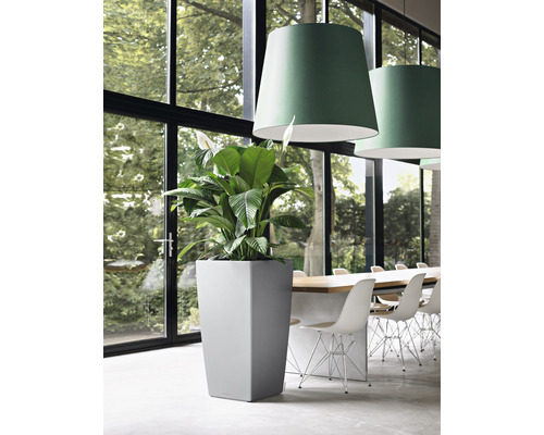 Hoge, grijze plantenbak met groene plant in een lichte ruimte naast een lange tafel en stoelen.