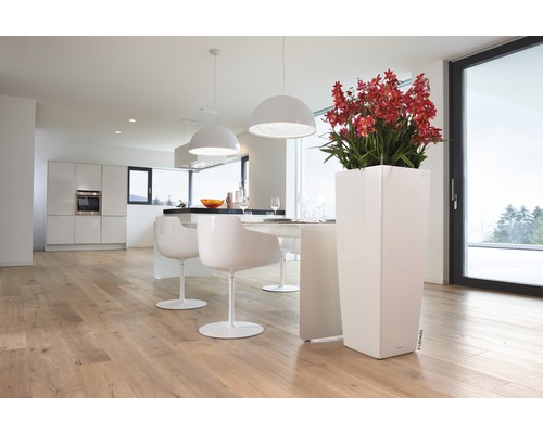 Licht interieur met keuken, eettafel, stoelen, lampen en een hoge, witte plantenbak met rode bloemen