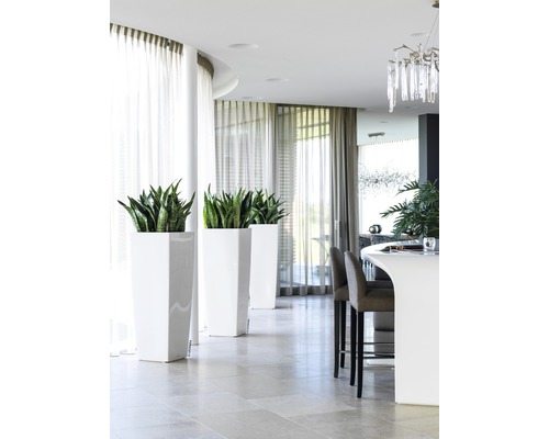 Lichte, moderne interieurdecoratie met planten in plantenbakken