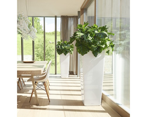 Lichte ruimte met twee witte plantenbakken en planten naast een eettafel.