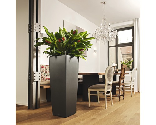 Hoge kunststof plantenbak met kamerplant in een lichte ruimte