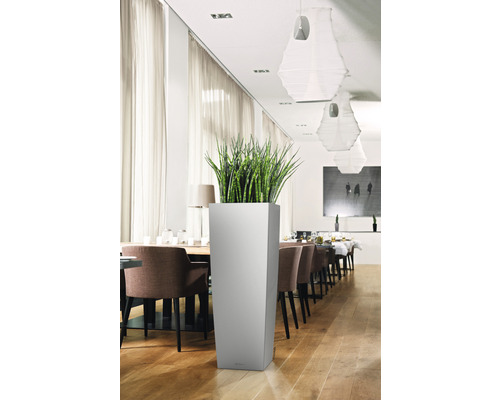 Hoge, vierkante plantenbak met groene plant in een lichte ruimte