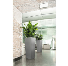 Hoge plantenbakken met groene planten binnenshuis.