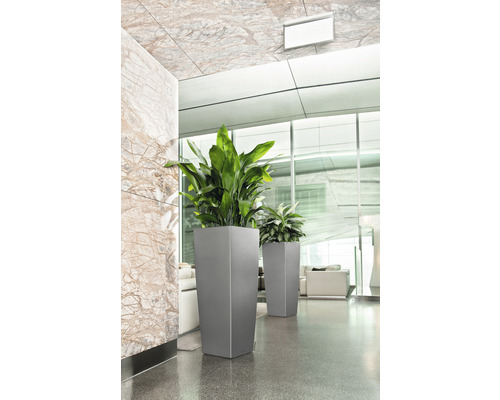 Hoge plantenbakken met groene planten binnenshuis.