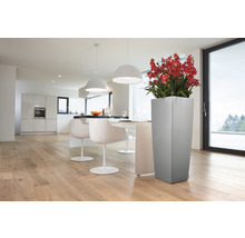 Lichte kamer met eettafel, stoelen, keuken en plantenbak met bloemen