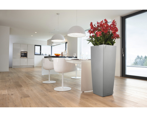 Lichte kamer met eettafel, stoelen, keuken en plantenbak met bloemen