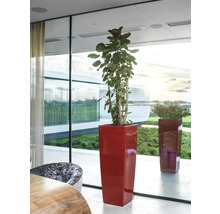 Decoratieve plantenbakken in een lichte ruimte