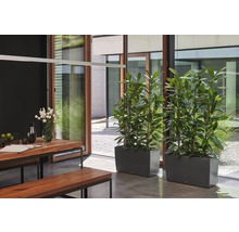 Eetkamer met houten tafel, banken en twee plantenbakken