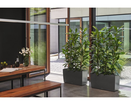 Eetkamer met houten tafel, banken en twee plantenbakken