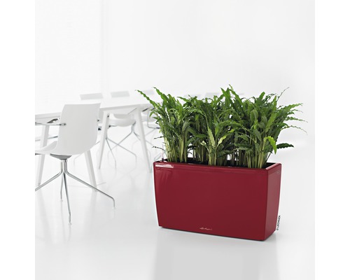 Rechthoekige plantenbak met groene planten op de vloer