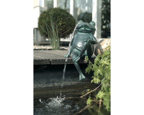 Kikkerfiguur als waterspuwer bij de tuinvijver