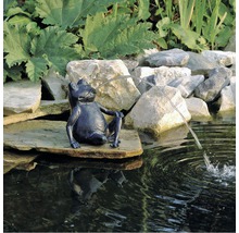Kikkerfiguur als waterspuwer voor de tuinvijver